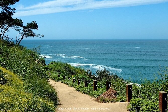 Discover San Diegos Beaches: Private Driving Tour - Visiting Coronado Island