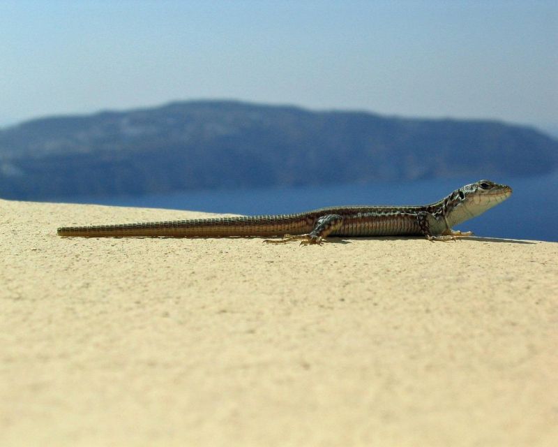 Discover Santorinis Instagram Gems - Wandering Through Pyrgos
