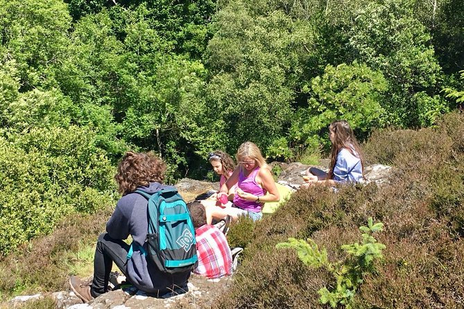 Discover Scotland Off the Beaten Track - Pricing and Booking Details