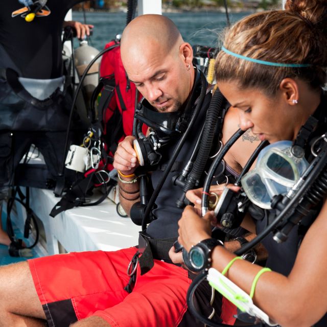 Discover Scuba at the Underwater Sculpture Park - Key Points