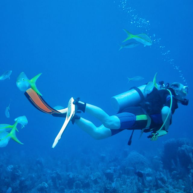 Discover Scuba at the Underwater Sculpture Park - Departure Locations