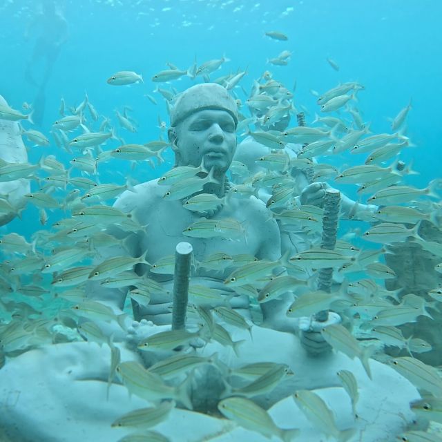 Discover Scuba at the Underwater Sculpture Park - Duration and Minimum Age