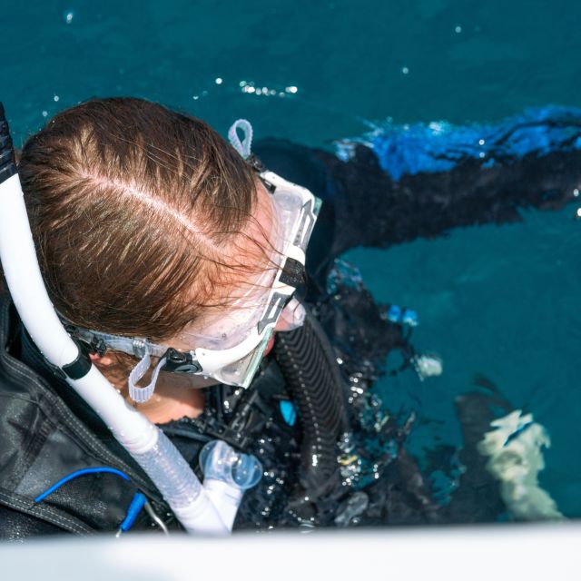 Discover Scuba at the Underwater Sculpture Park - Guided by Certified Instructors