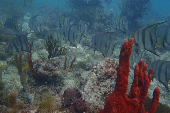 Discover Scuba - Meeting and End Point Details