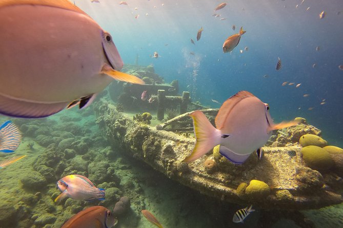 Discover Scuba Dive - Equipment and Inclusions