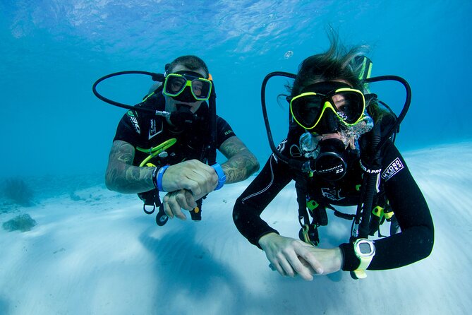 Discover Scuba Dive - Customer Reviews and Feedback