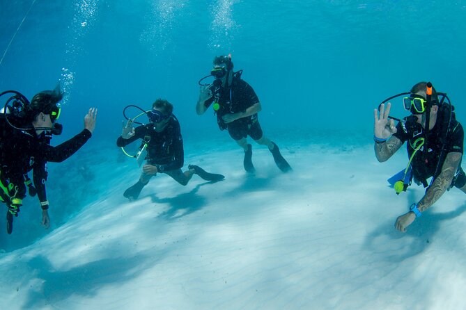 Discover Scuba Dive - Booking and Start Time