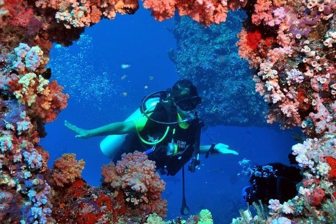 Discover Scuba Dive From Kusadasi / Selcuk - Booking and Availability