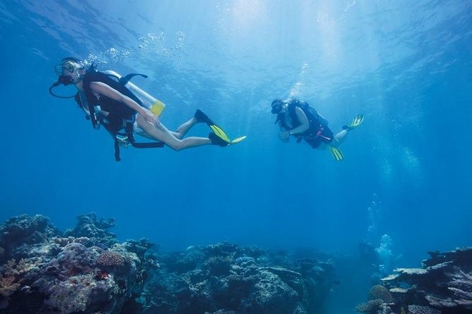 Discover Scuba Dive From Kusadasi / Selcuk - Scuba Diving Excursion Details