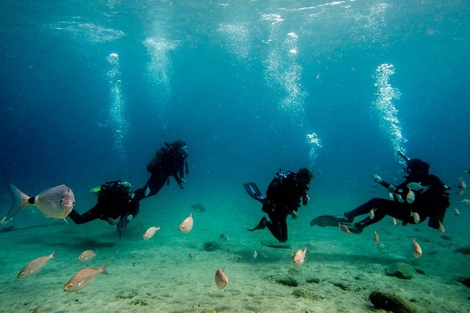 Discover Scuba Diving - Ratings and Customer Reviews