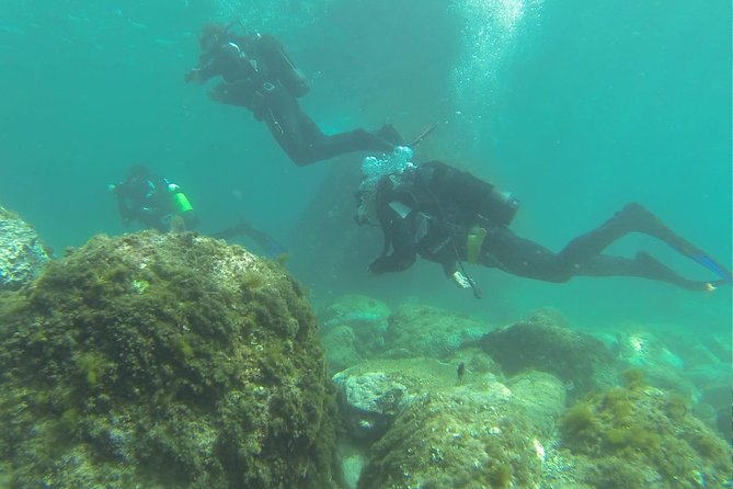 Discover Scuba Diving - Additional Information