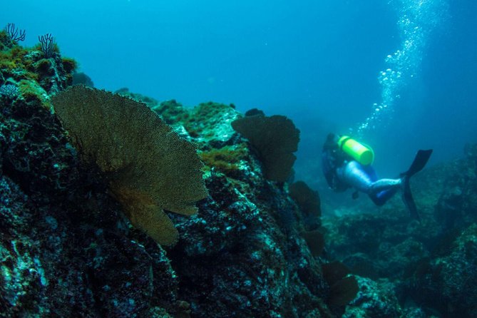 Discover Scuba Diving - Whats Included in the Tour