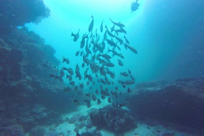Discover Scuba Diving - Tour Restrictions
