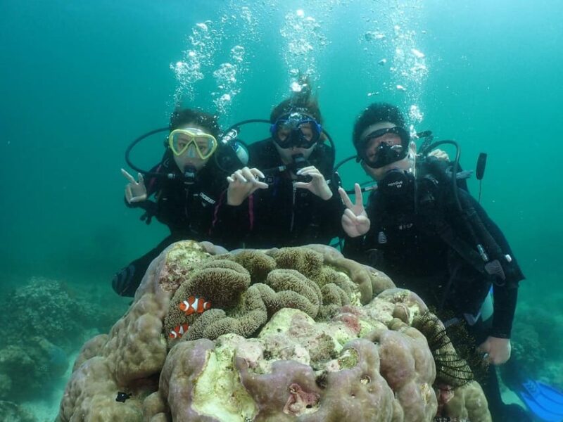 Discover Scuba Diving - Diving Activities