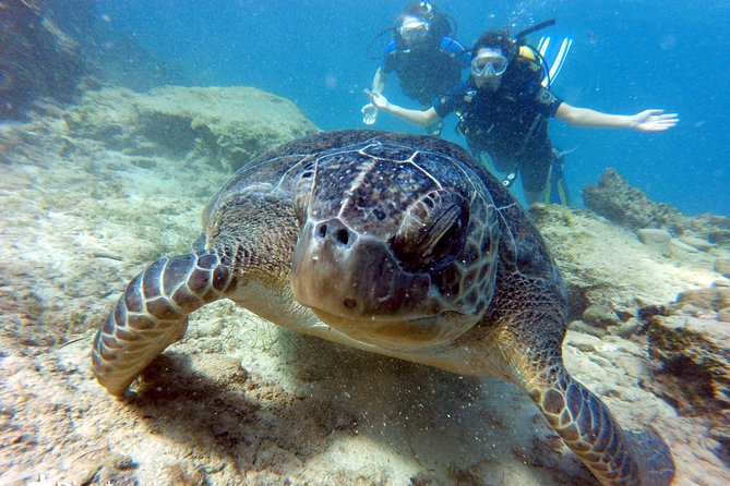 Discover Scuba Diving - Equipment and Transportation