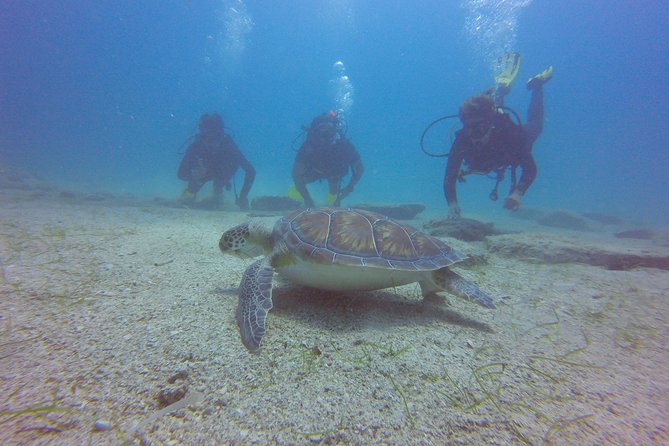 Discover Scuba Diving - Additional Considerations