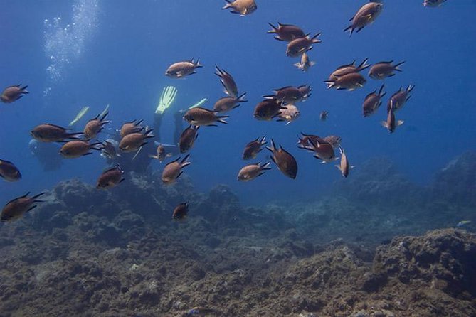 Discover Scuba Diving - Depth and Duration