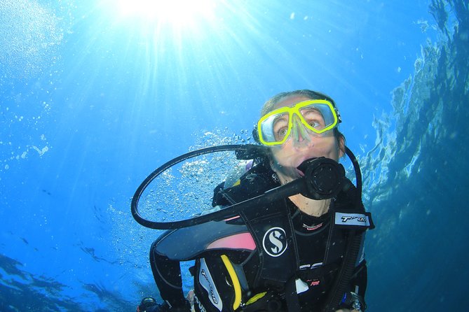 Discover Scuba Diving - Itinerary and Schedule