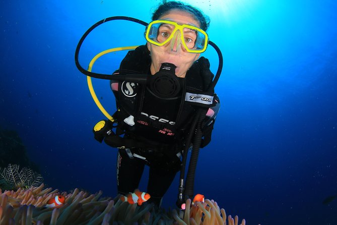 Discover Scuba Diving - Customer Reviews