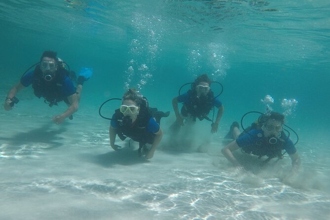 Discover Scuba Diving - Booking and Pricing Options