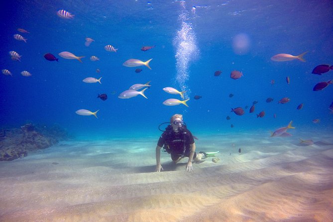 Discover Scuba Diving - Meeting Location