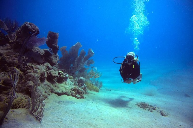 Discover Scuba Diving - Price and Guarantee