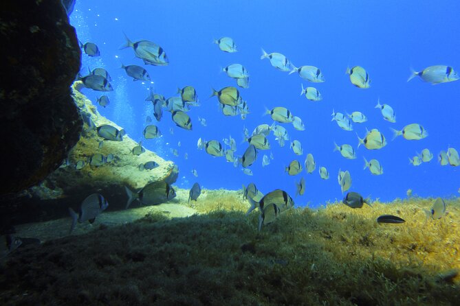 Discover Scuba Diving Adventure in Mykonos - Professional Photography and Extras