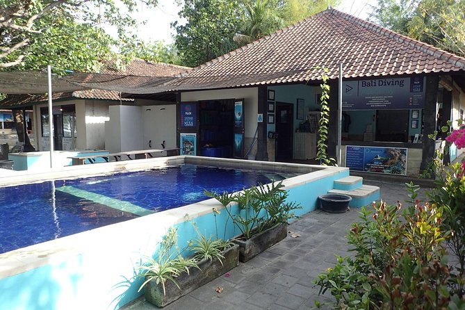 Discover Scuba Diving and Dive in Menjangan Island Marine Park 2 Dives - Qualifications and Age Requirement