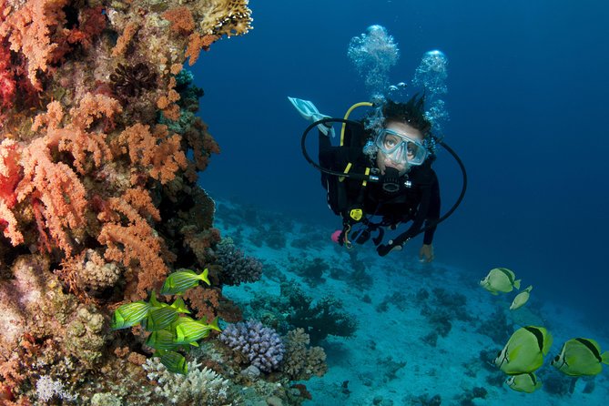 Discover Scuba Diving Around Los Cabos - Meeting and End Points