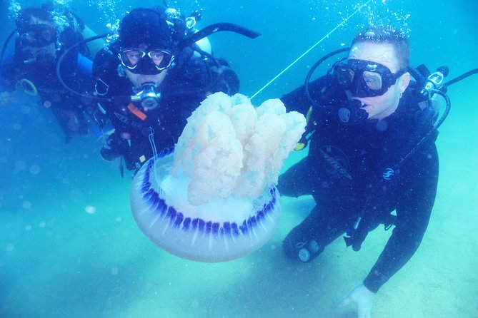 Discover Scuba Diving Around Los Cabos - Participant Requirements