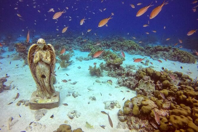 Discover Scuba Diving Aruba - Pickup and Meeting Information