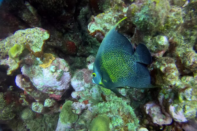 Discover Scuba Diving Aruba - Health and Safety Considerations