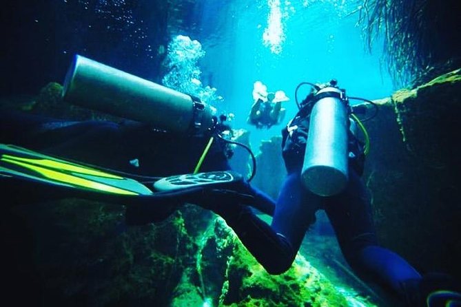 Discover Scuba Diving at Casa Cenote - Learning and Safety Precautions