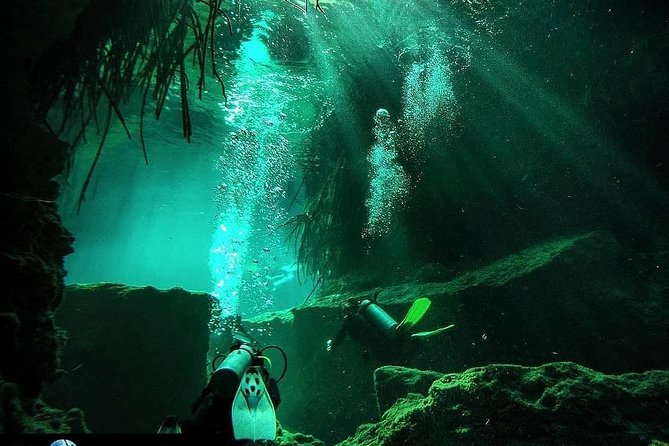 Discover Scuba Diving at Casa Cenote - Included in the Activity