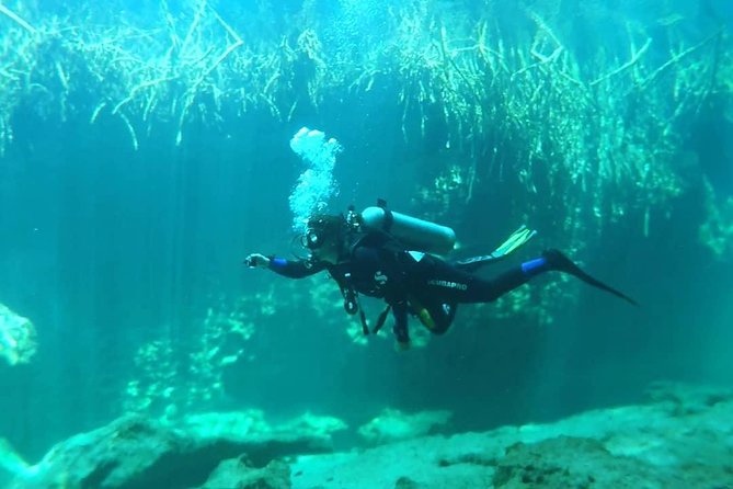 Discover Scuba Diving at Casa Cenote - Meeting and Pickup Details