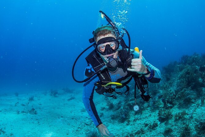 Discover Scuba Diving at Cozumel Marine Park - Preparing for the Diving Experience