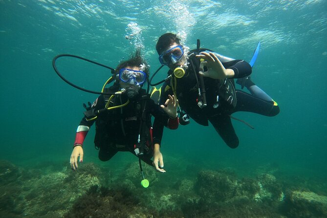 Discover Scuba Diving Baptism of the Sea in Half Day - Quick Points