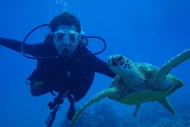 Discover Scuba Diving & Beach Club With Transportation in Riviera Maya - Maroma Beach and Facilities