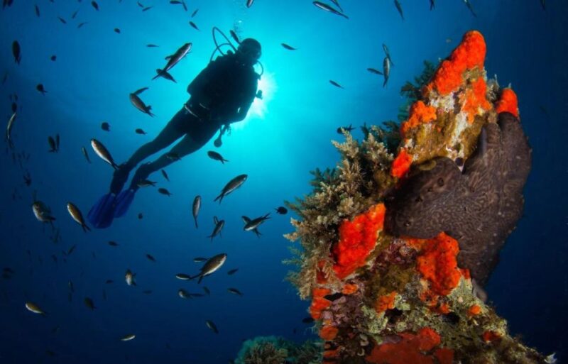 Discover Scuba Diving-Beginners-Chalkidiki-Kassandra - Key Points