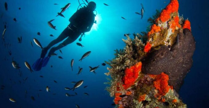 Discover Scuba Diving-Beginners-Chalkidiki-Kassandra - Scuba Diving Program Details