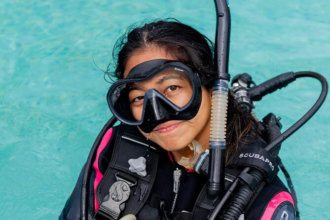 Discover Scuba Diving Cabo San Lucas Marine Park - Key Points
