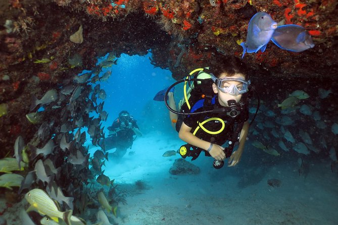 Discover Scuba Diving Course in Playa Del Carmen With Two Coral Reef Dives - Meeting Information