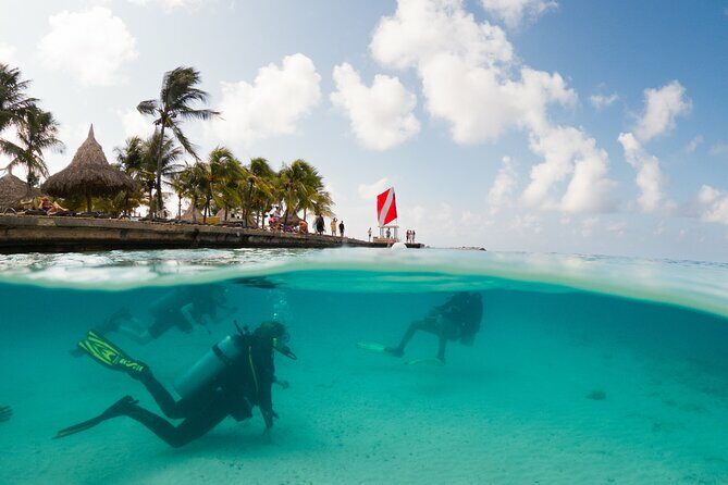 Discover Scuba Diving Experience - The Itinerary: From Beach to Reef