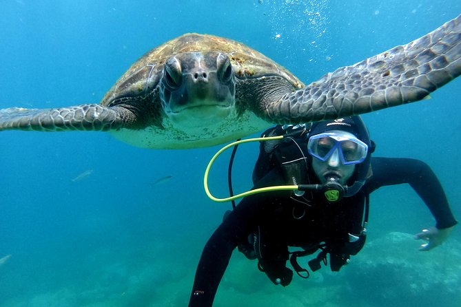 Discover Scuba Diving Experience in Turtle Habitat - Scuba Diving Details