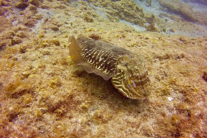 DISCOVER SCUBA DIVING - First Step to Your Certification - Essential Gear for Beginners