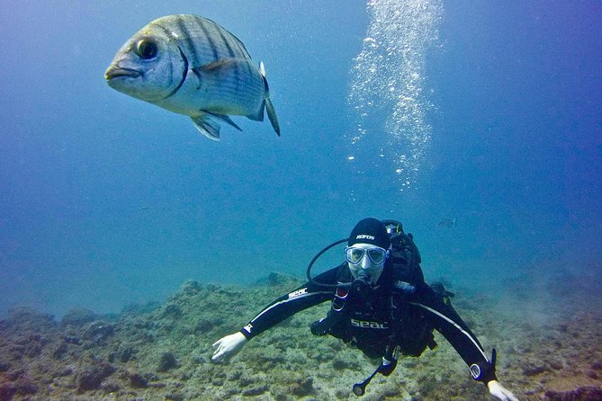 DISCOVER SCUBA DIVING - First Step to Your Certification - Tips for a Successful Dive