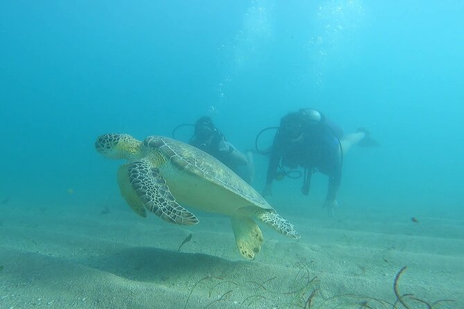Discover Scuba Diving for Beginners in San Juan - Overview of Discover Scuba Diving