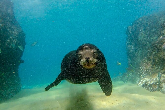 Discover Scuba Diving for Beginners With MANTA in Cabo San Lucas - Inclusion Details