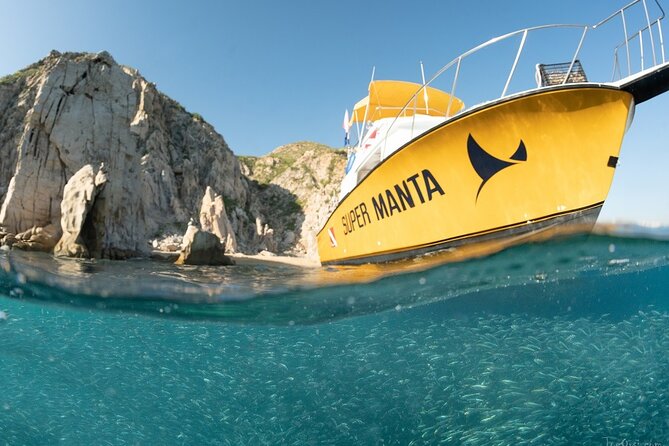 Discover Scuba Diving for Beginners With MANTA in Cabo San Lucas - Requirements and Restrictions