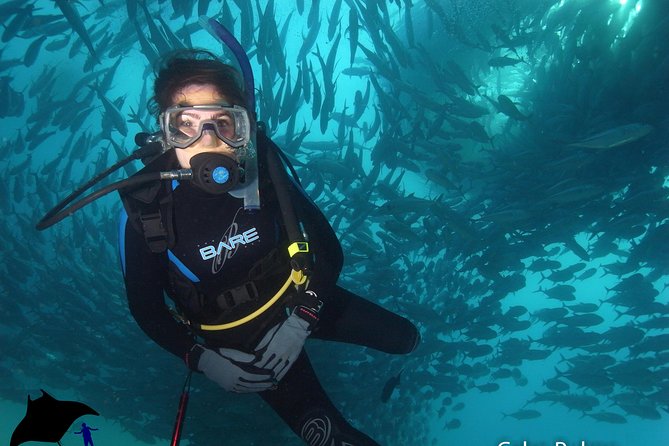 Discover Scuba Diving for Beginners With MANTA in Cabo San Lucas - Additional Information